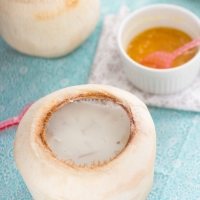Fresh Coconut Panna Cotta in a Shell